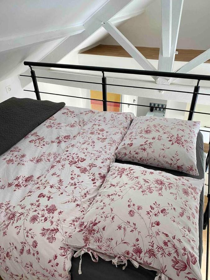 Proche Paris Et Disney-Calme Absolu Vaires-sur-Marne 외부 사진